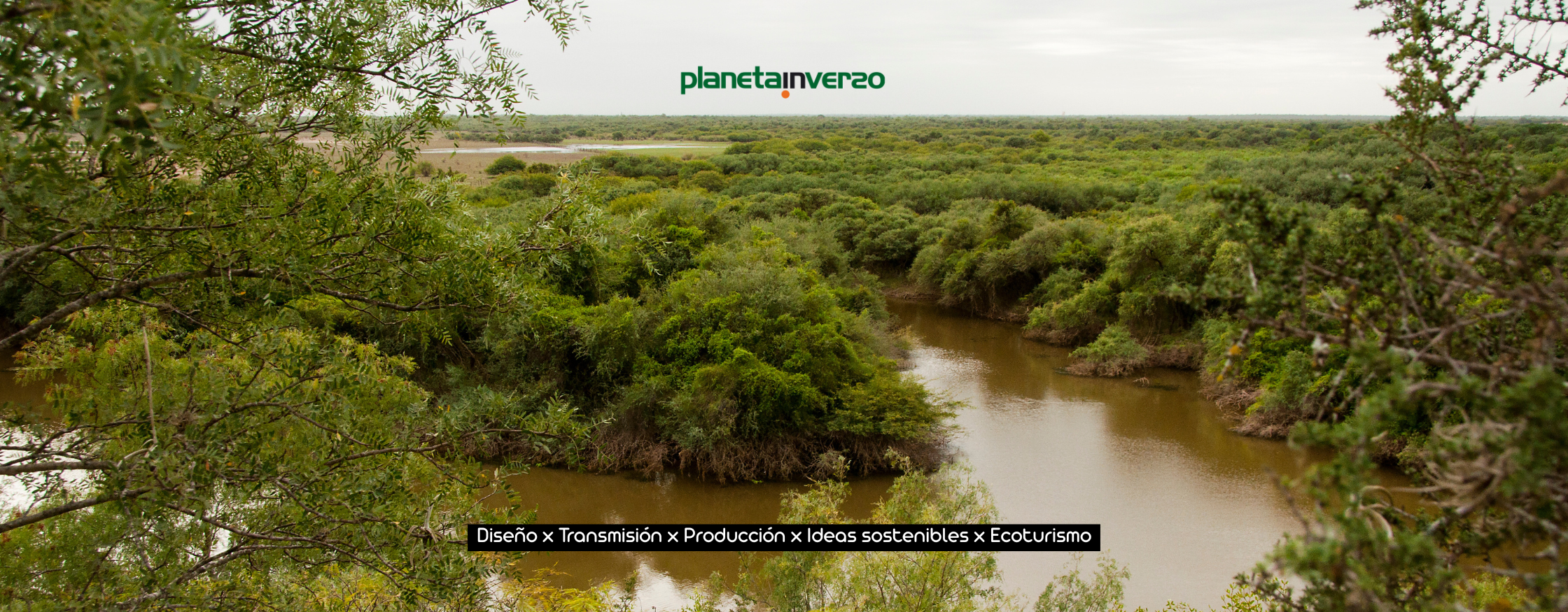 PLACA WEB (1)