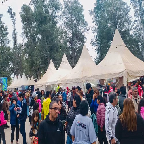 Este viernes 6 finaliza la pre-inscripción para la Feria Artesanal