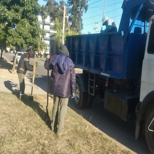 En el barrio Alberdi se sumarán 2300 nuevas árboles