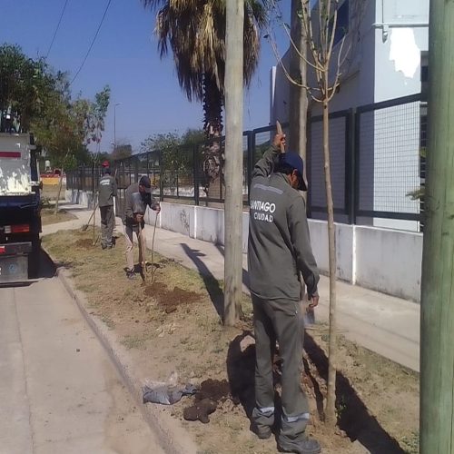 3700 árboles para el barrio Ramón Carrillo