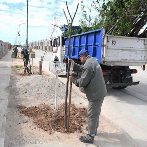 Avanzan los territorios verdes | Plantación de más de 1.500 árboles en Parque del Río III