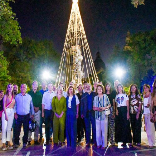 Tradicional encendido de luces y del árbol de navidad ecológico