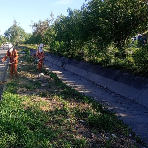 Operativos simultáneos de desmalezamientos en barrios