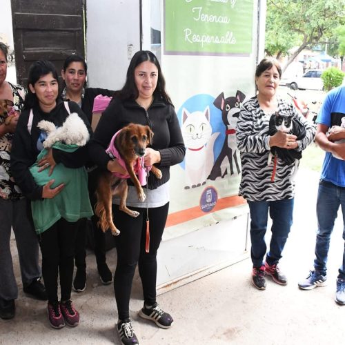 Zoonosis concretó más de 4800 esterilizaciones gratuitas