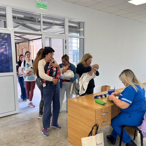 Continúa el programa de castraciones gratuitas en Santiago del Estero
