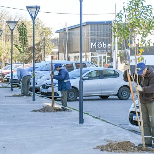 Avanza la campaña de Arbolado Urbano en el barrio Congreso
