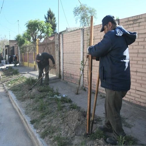 Plantación de más de 2.200 árboles en el barrio John Kennedy